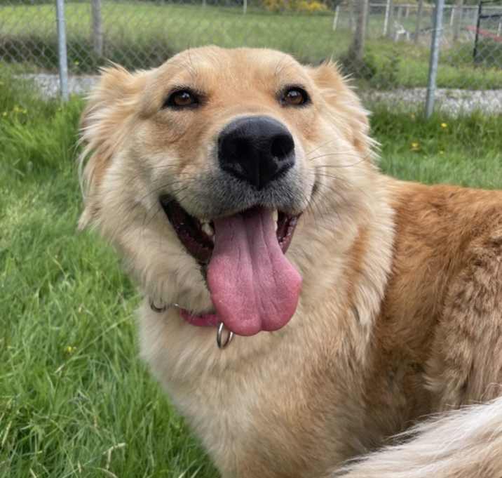 Photo of Belle