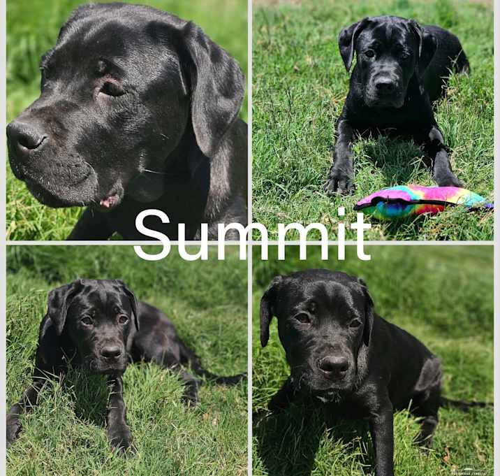 Photo of Summit