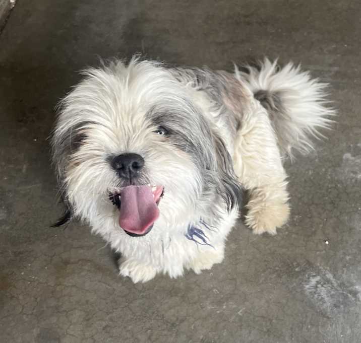 Photo of Po