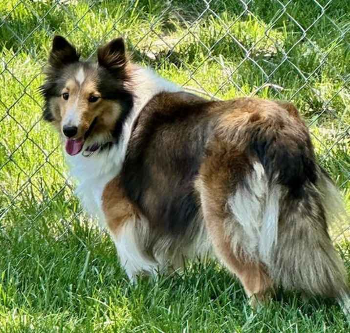 Photo of SALLY ANN