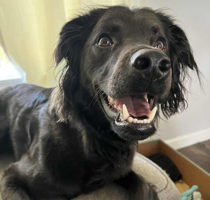 Photo of Gunther