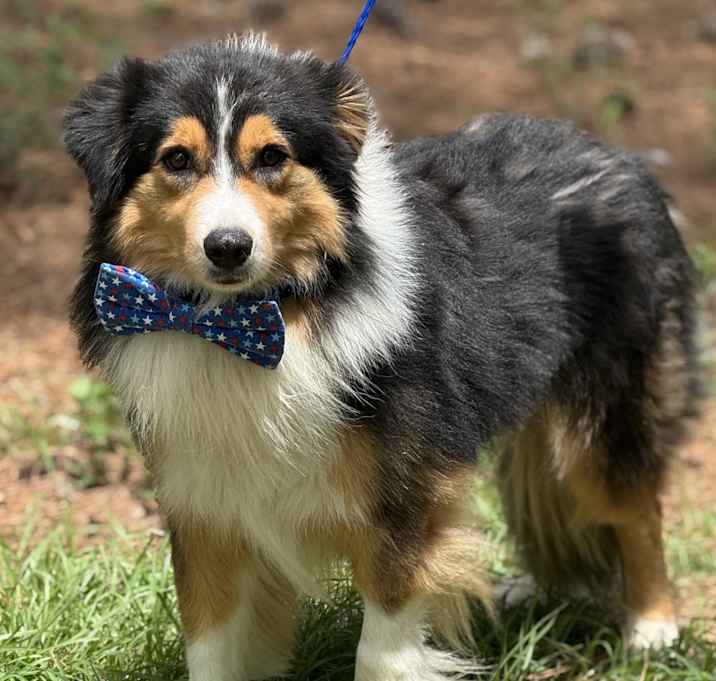 Photo of RILEY