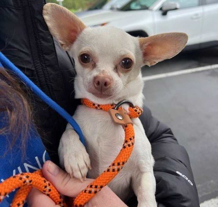Photo of Sprout