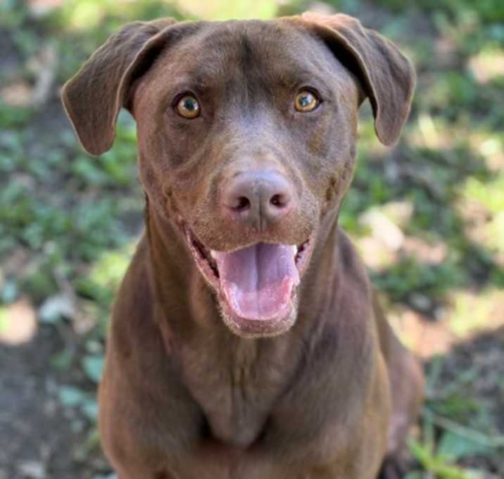 Photo of Emery