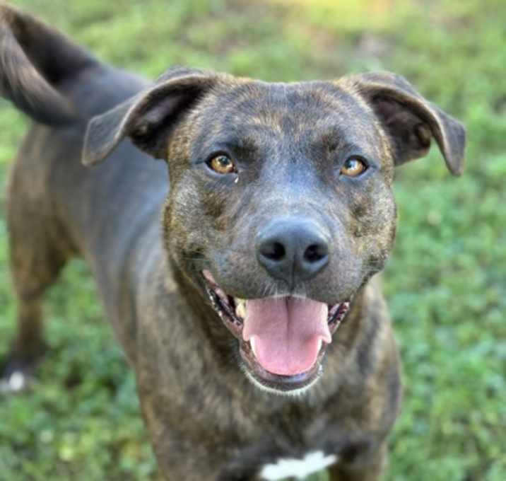 Photo of Waylon