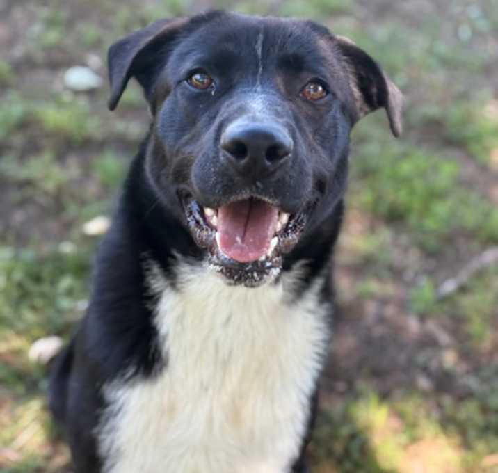 Photo of Remington