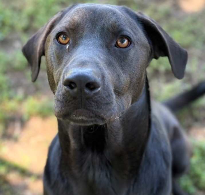 Photo of Javier