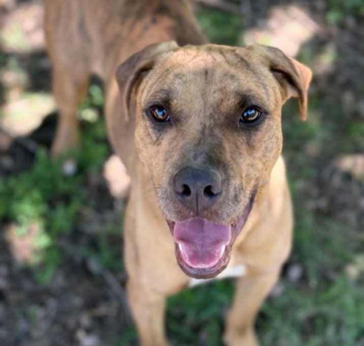 Photo of Tex