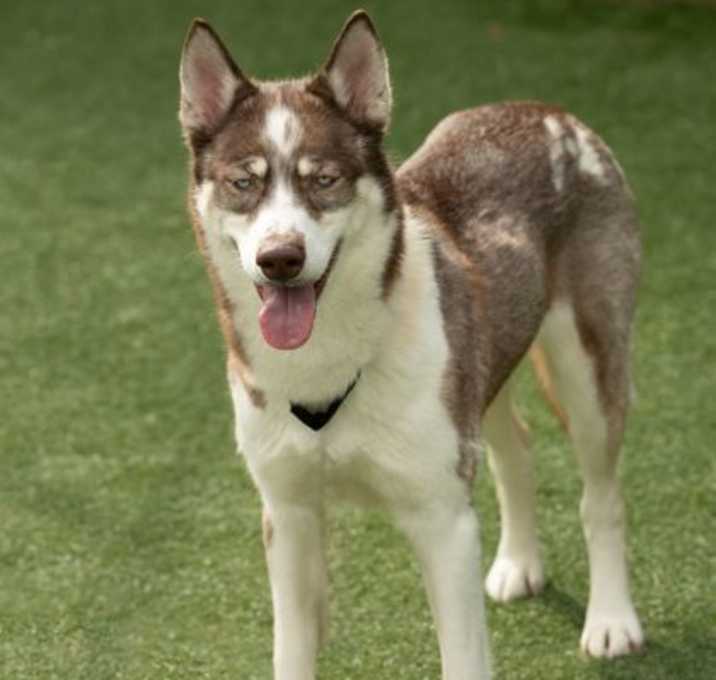 Photo of Gia