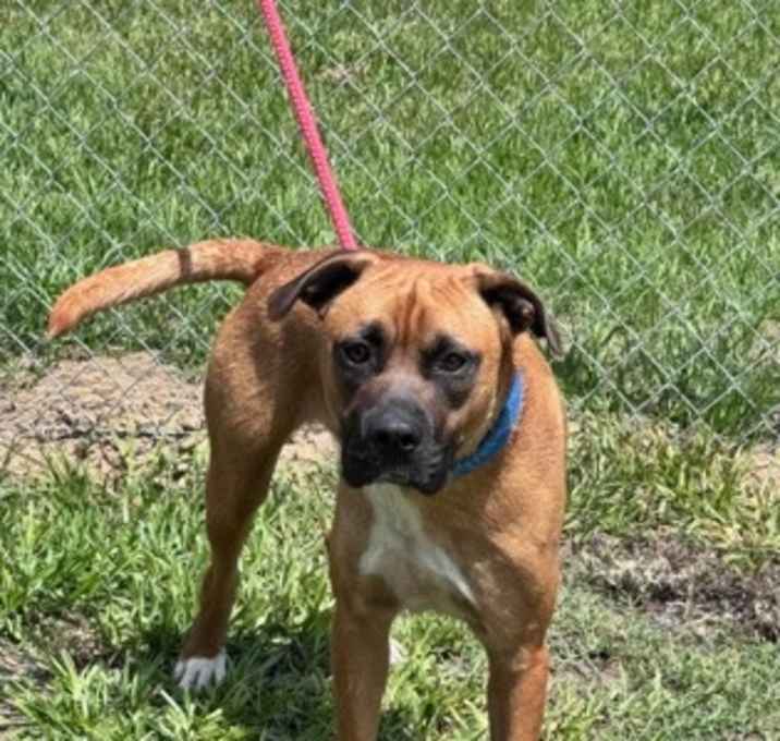 Photo of Buddy