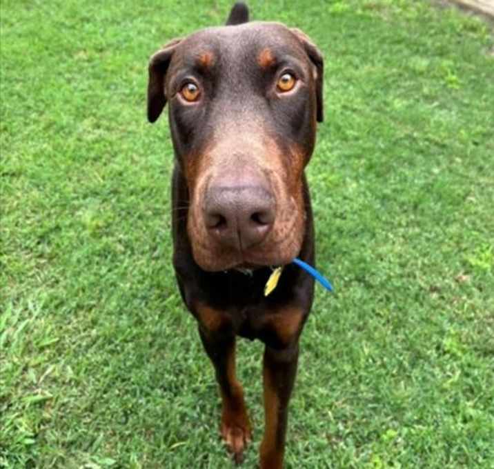 Photo of THOR