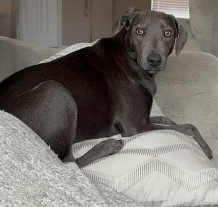 Photo of IRIS