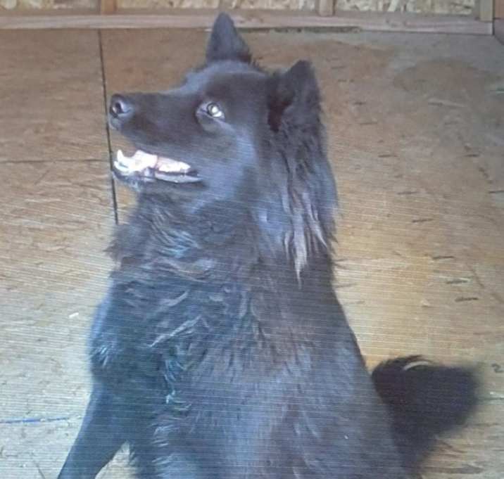Photo of Molly