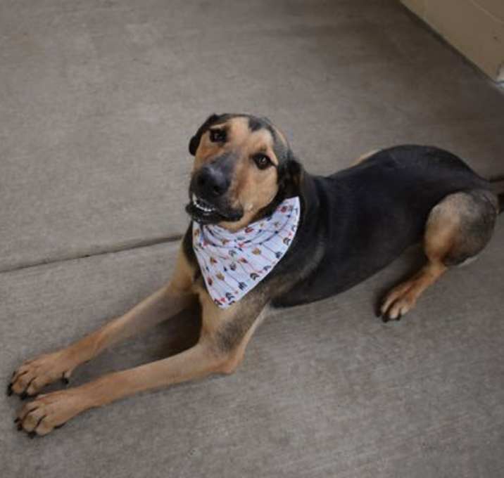 Photo of Jude Paw