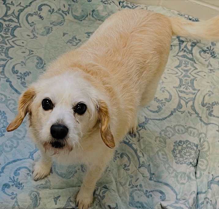 Photo of Mollie