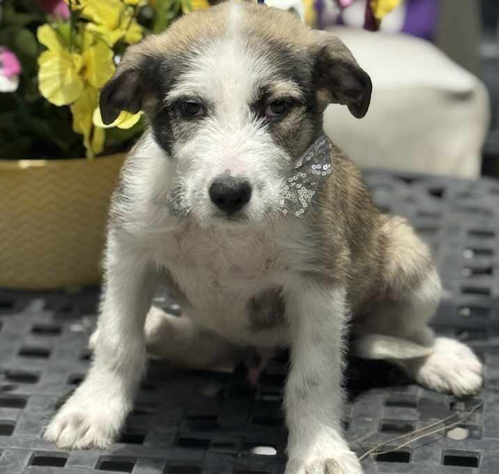 Photo of LUCKY