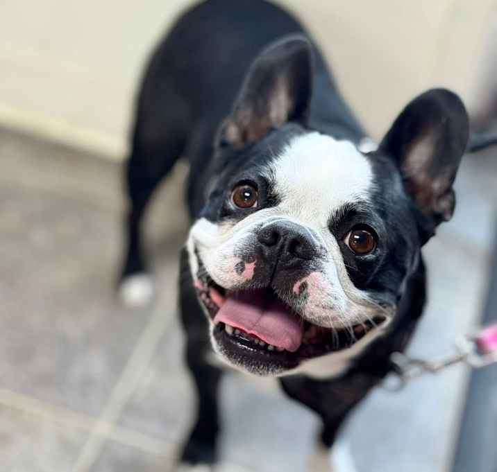 Photo of Huey