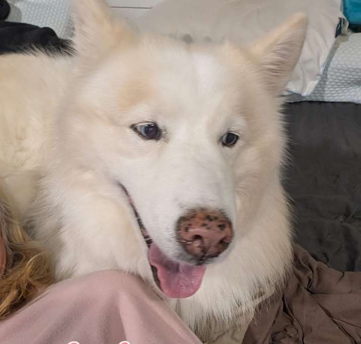 Photo of Delilah
