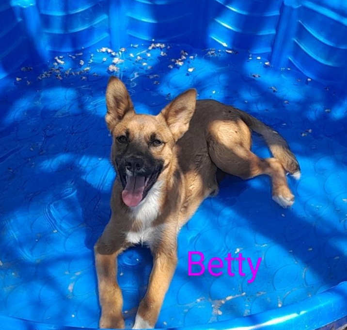 Photo of Betty