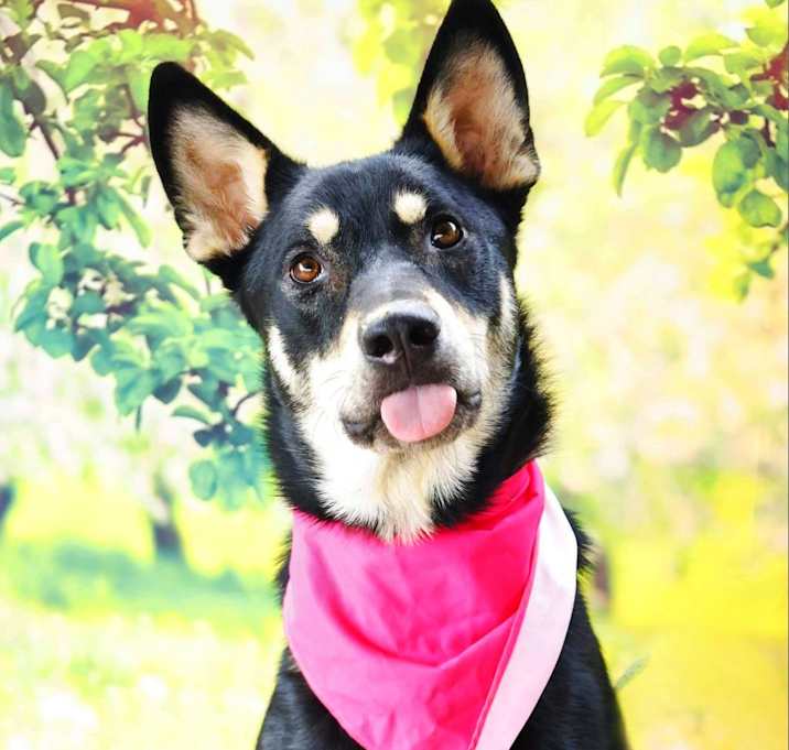 Photo of Luna JuM