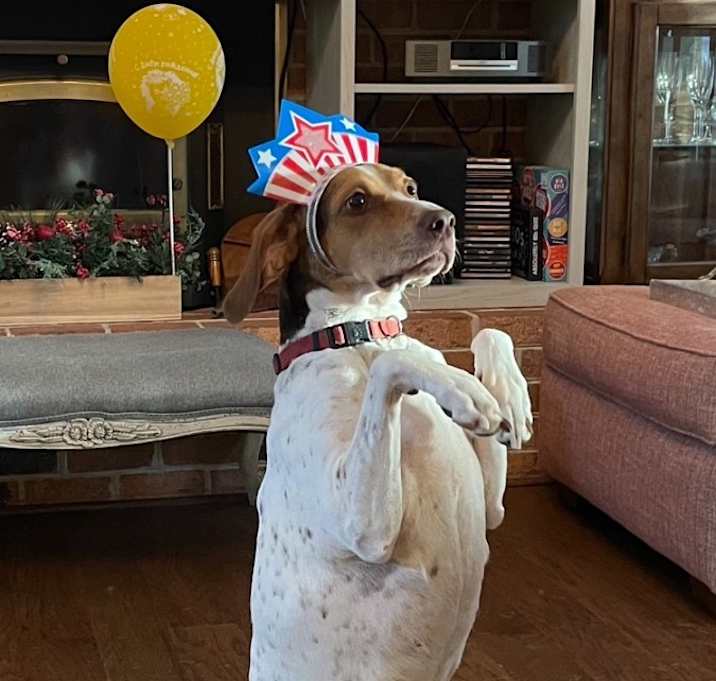 Photo of Lola