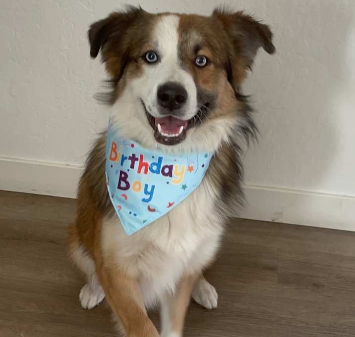 Photo of Thor