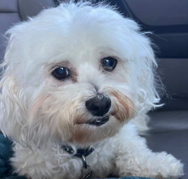 Photo of RASCAL