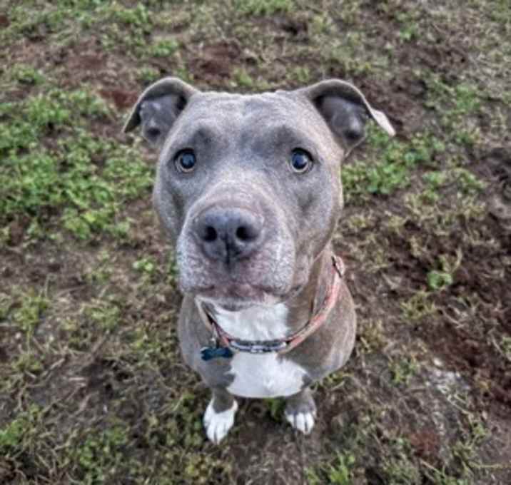 Photo of Nyx