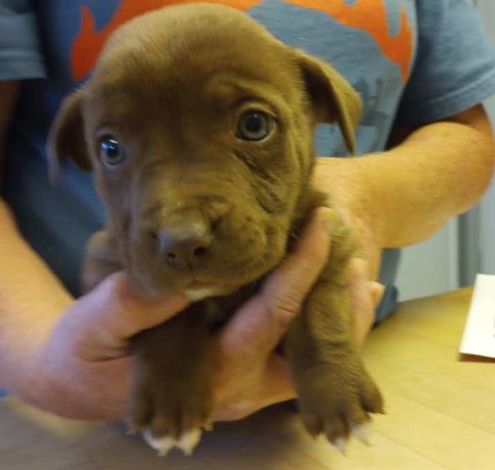 Photo of *HARLEY