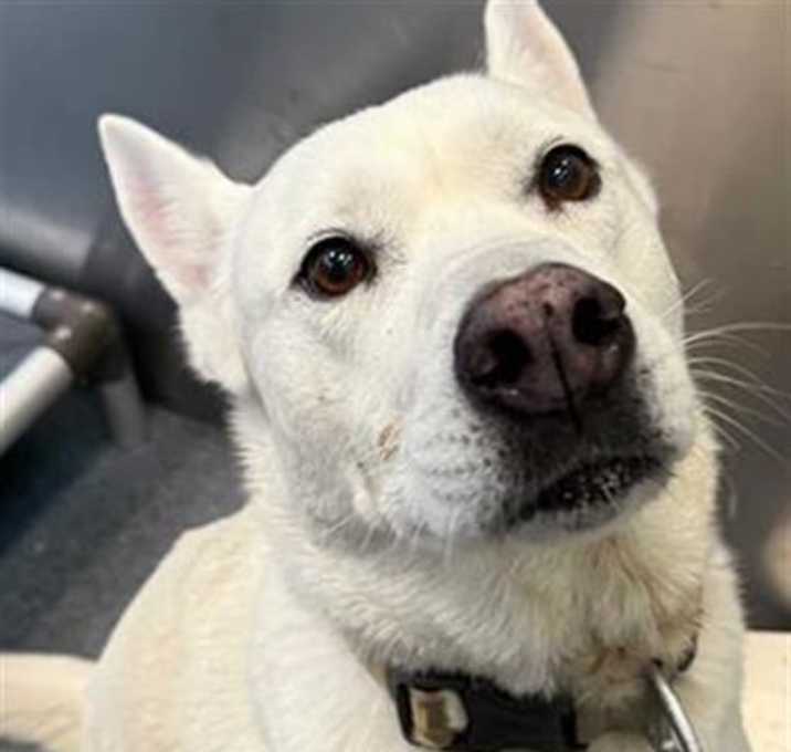 Photo of OAKLEY