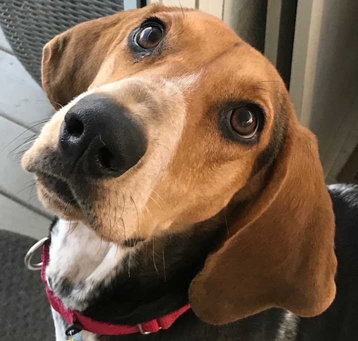 Photo of Julie
