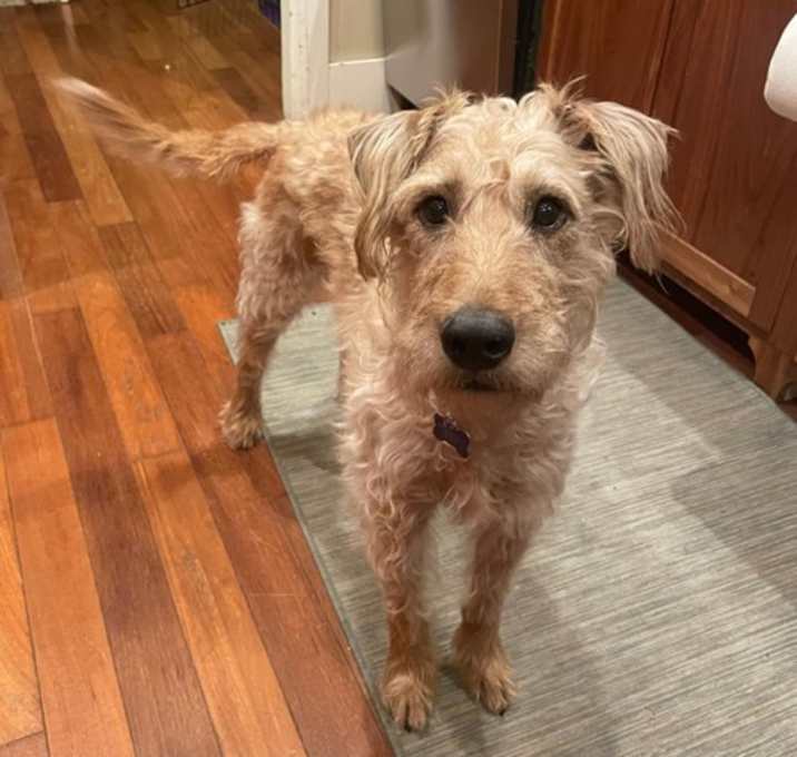 Photo of Doug