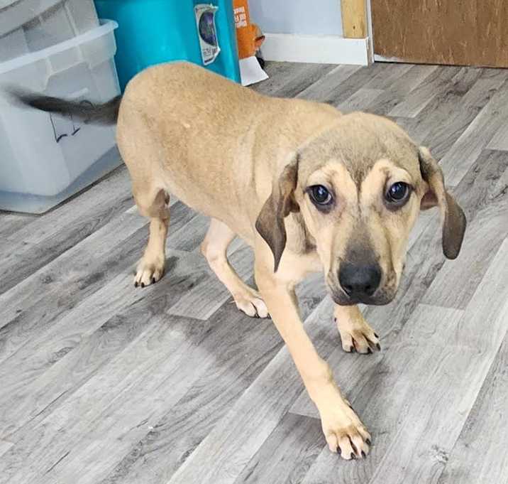 Photo of star