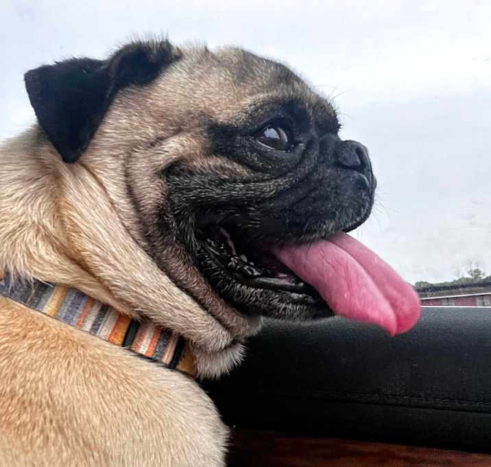 Photo of Doug