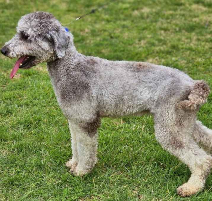Photo of ROUX