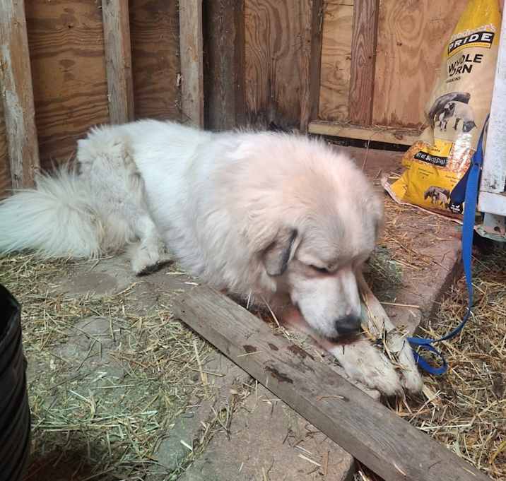 Photo of Hercules