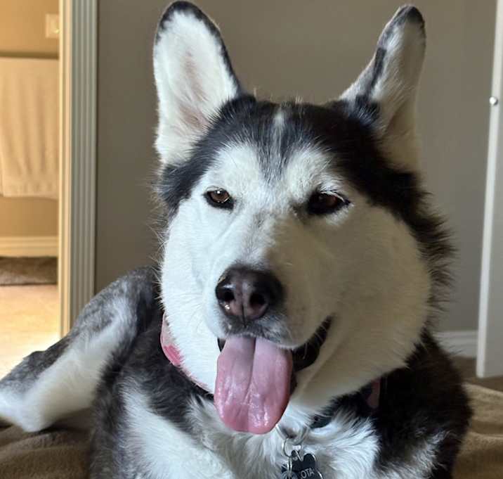 Photo of Dakota