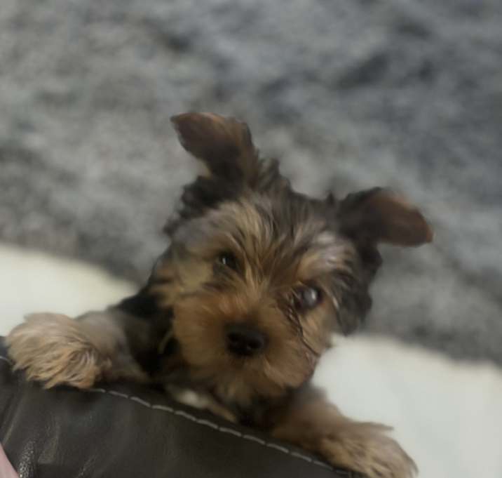 Photo of Benny