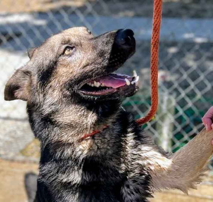 Photo of *TUCKER