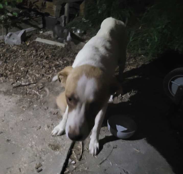 Photo of Rosita