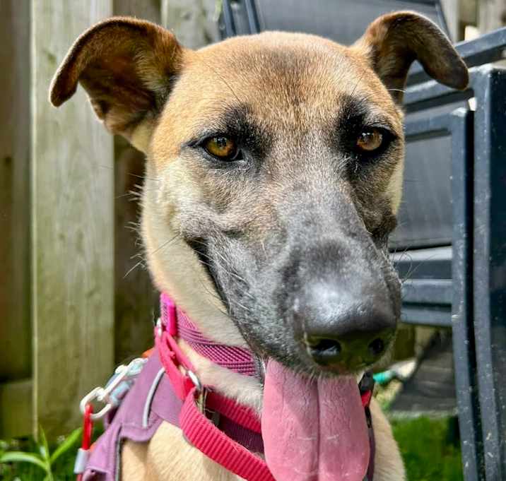 Photo of Jenny