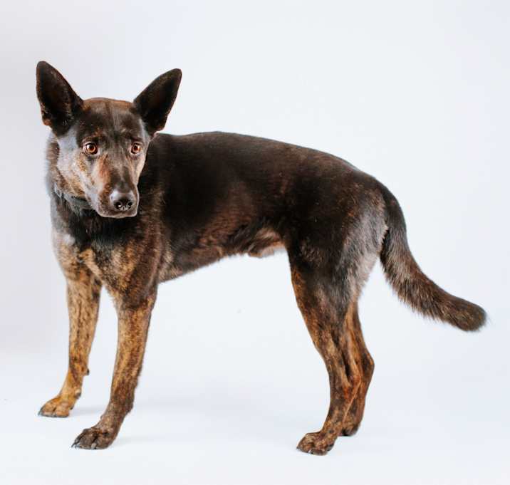 Photo of Rico