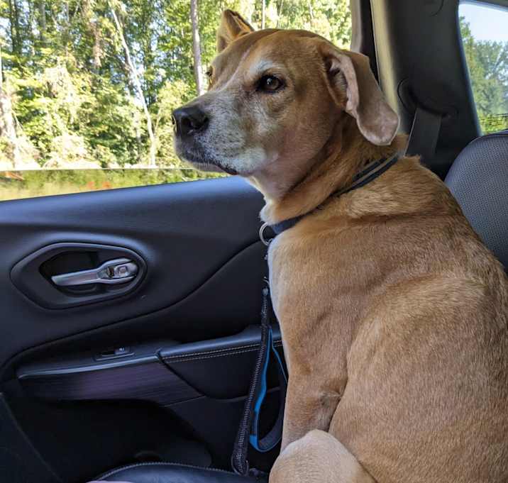 Photo of Digby