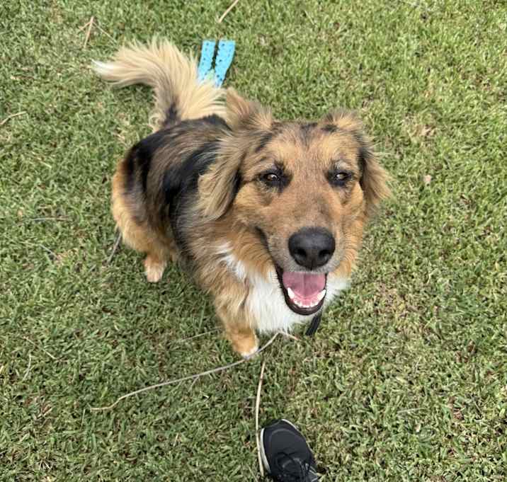 Photo of Luna