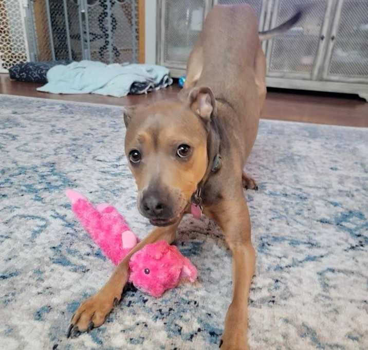 Photo of Klondike