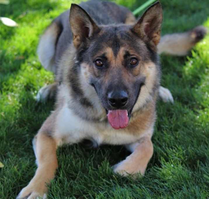 Photo of Alpha