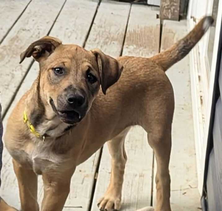 Photo of Canasta