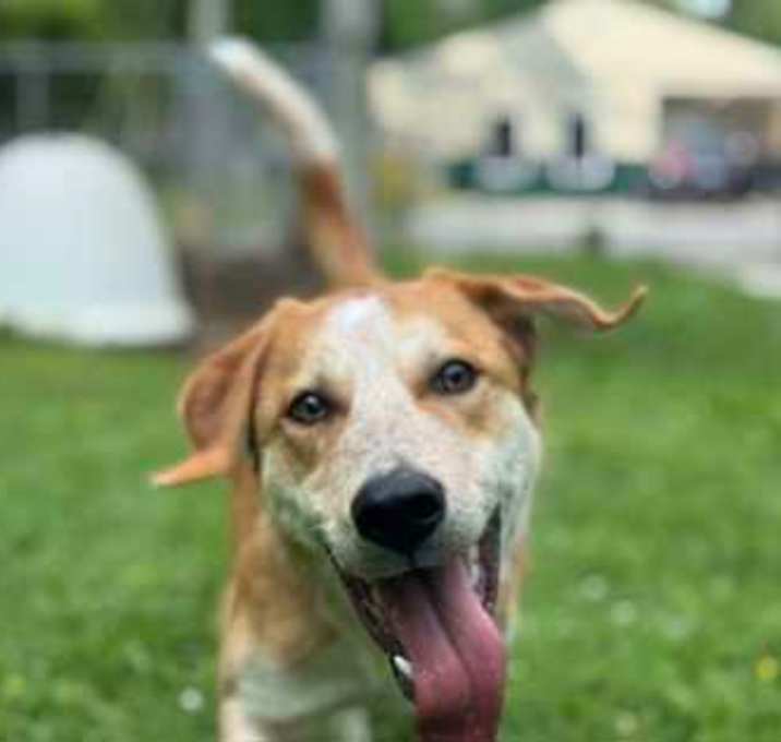 Photo of Slinky