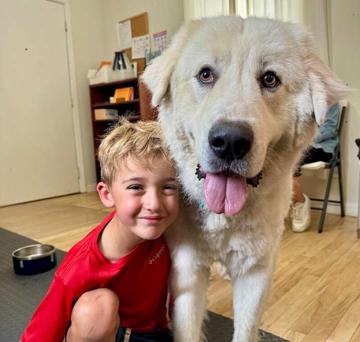 Photo of Sarge is the gentle guardian your family will love!