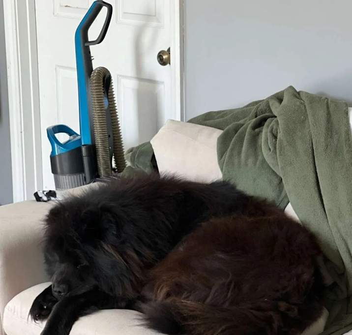 Photo of Doug